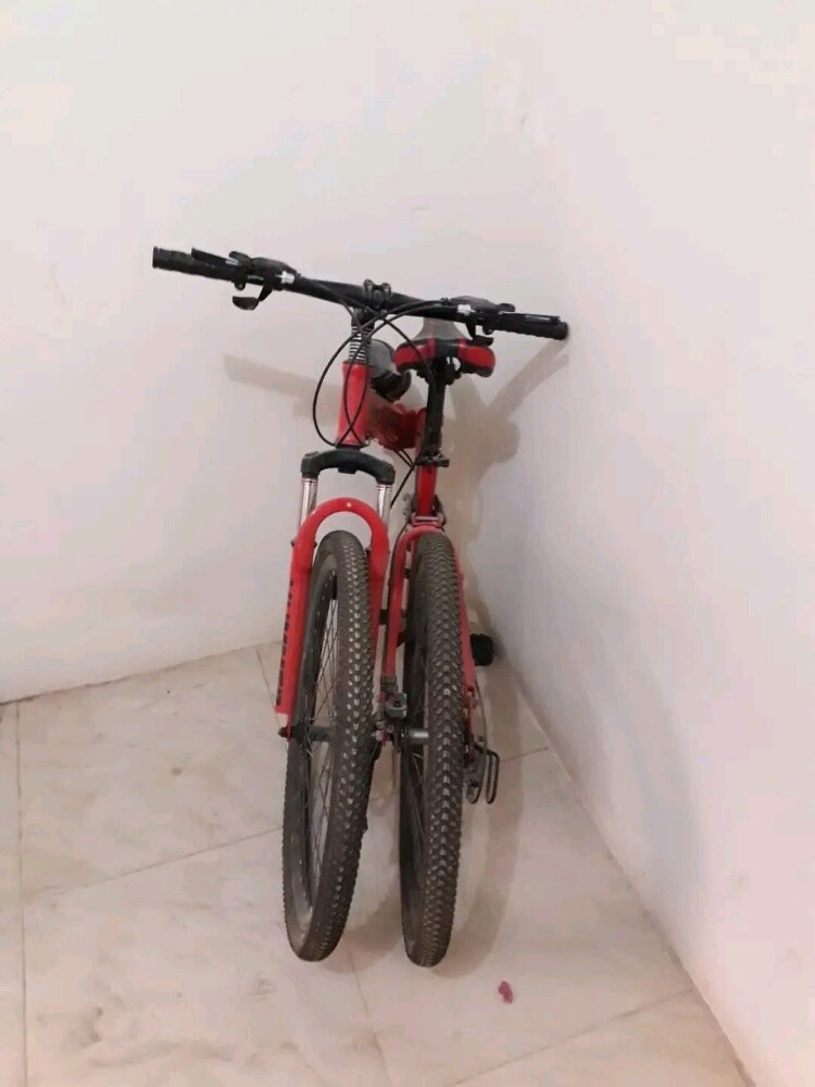 همر أصلية للبيع - 1