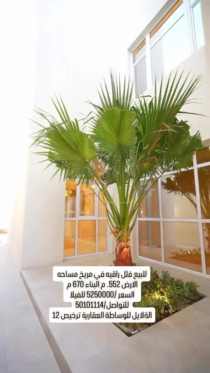 للبيع فلل راقيه في مريخ - 2