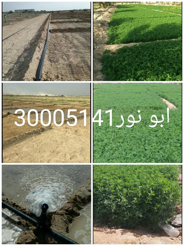 مهندس زراعي - 4