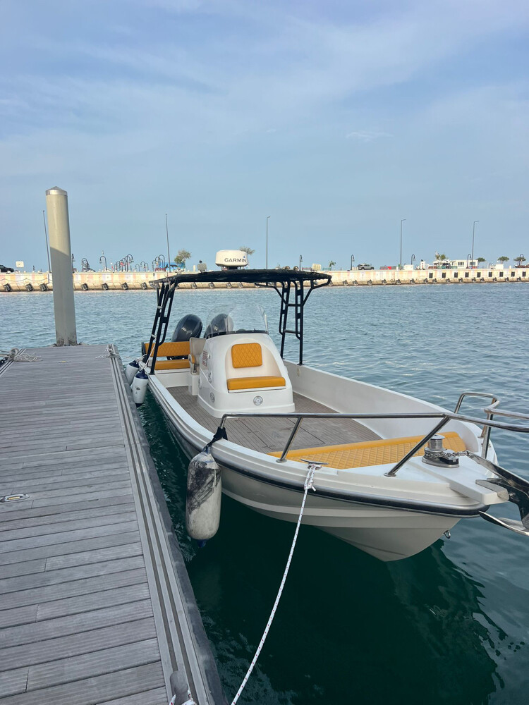 للبيع حالول 29  - 9