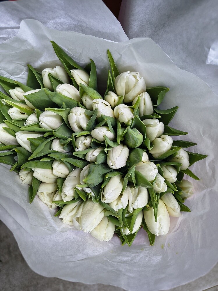 Flowers - 1