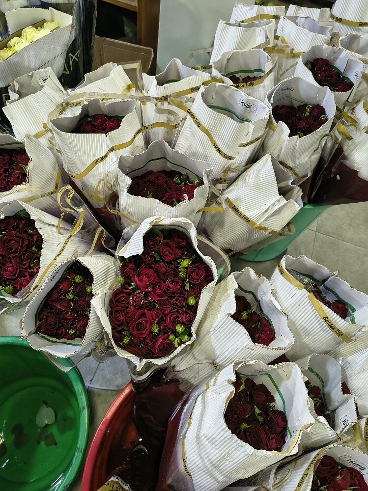 Flowers - 22