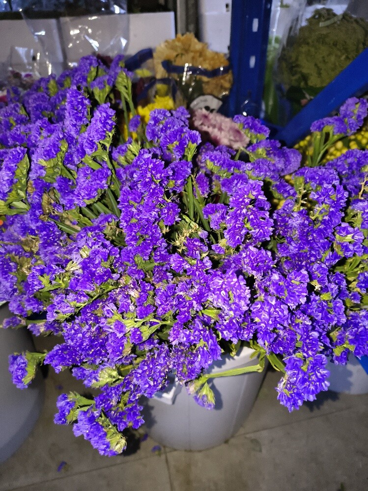 Flowers - 18