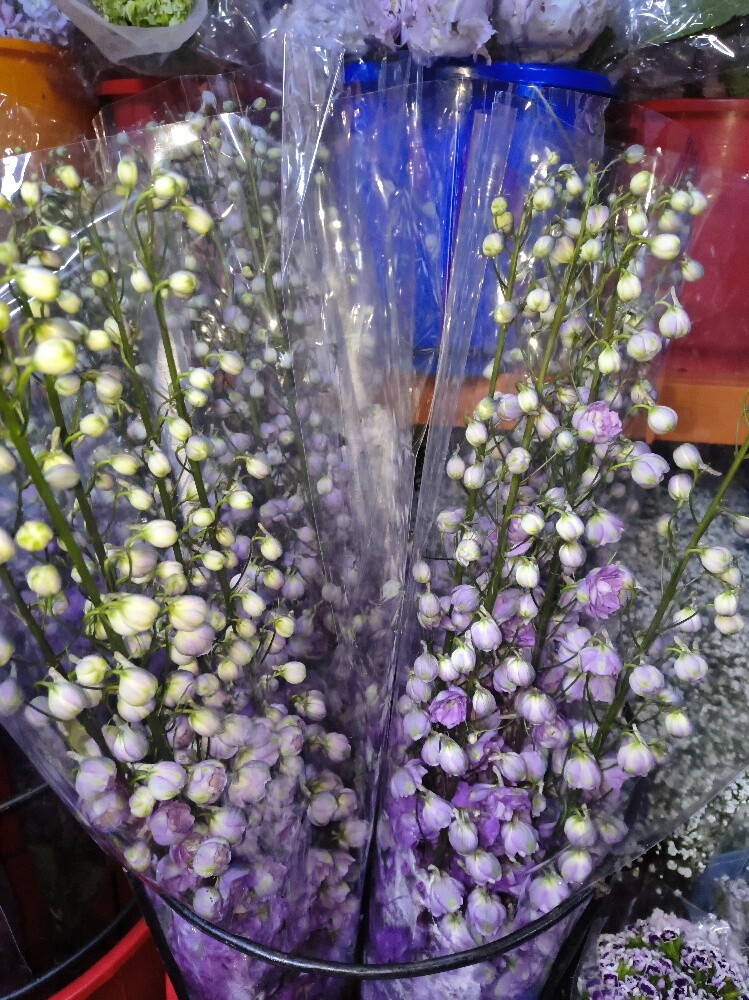Flowers - 14