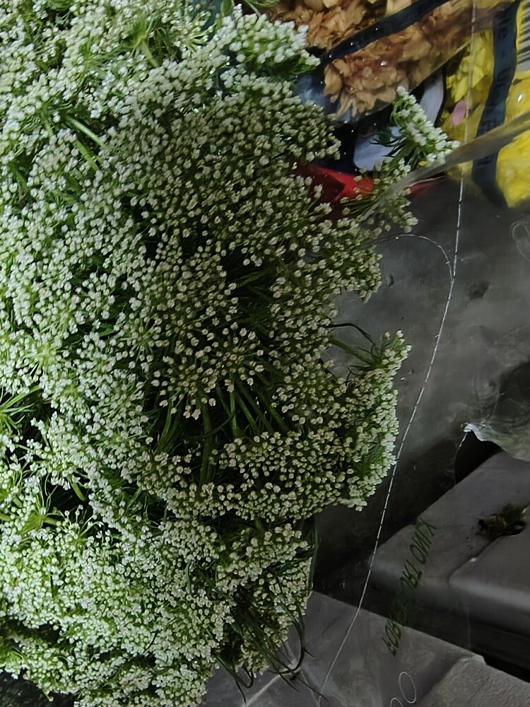 Flowers - 4