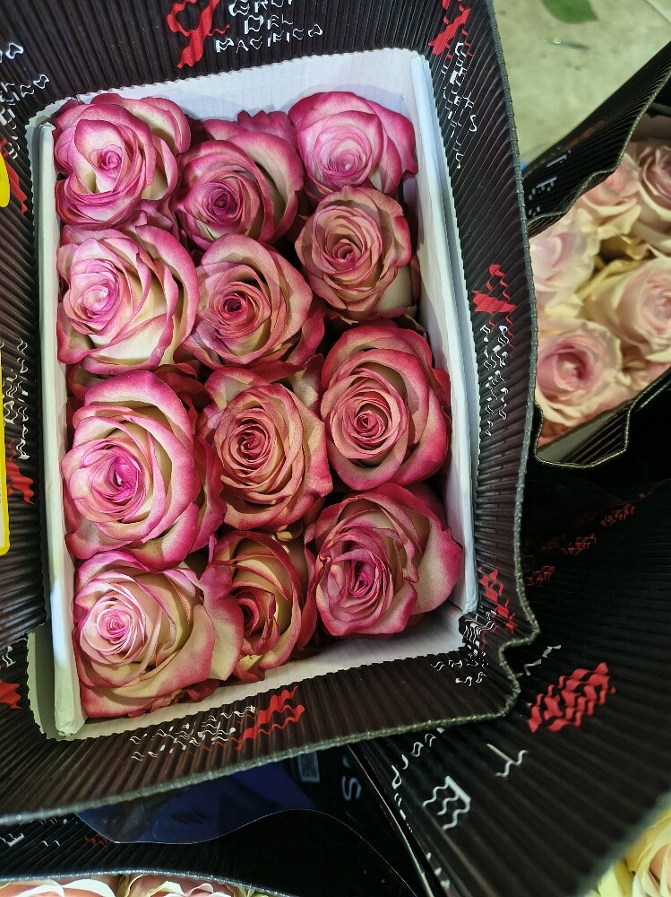 Flowers - 29