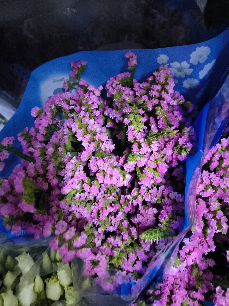 Flowers - 9