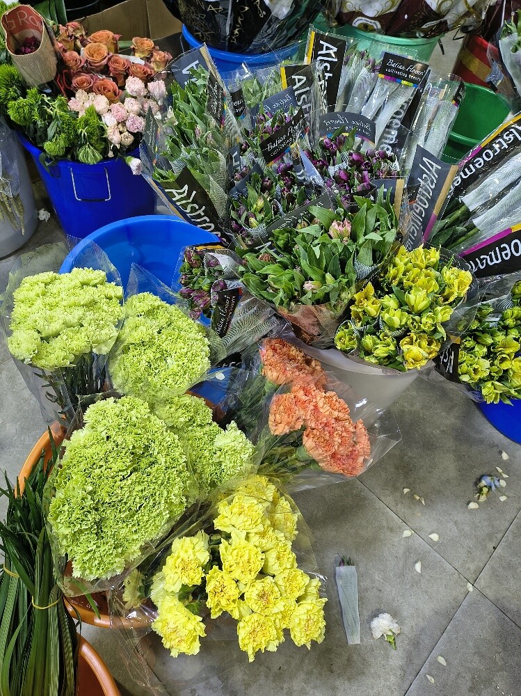 Flowers - 27