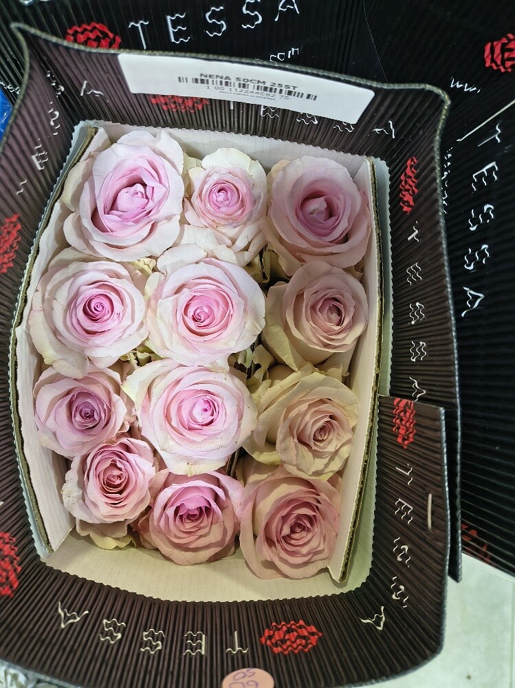 Flowers - 30