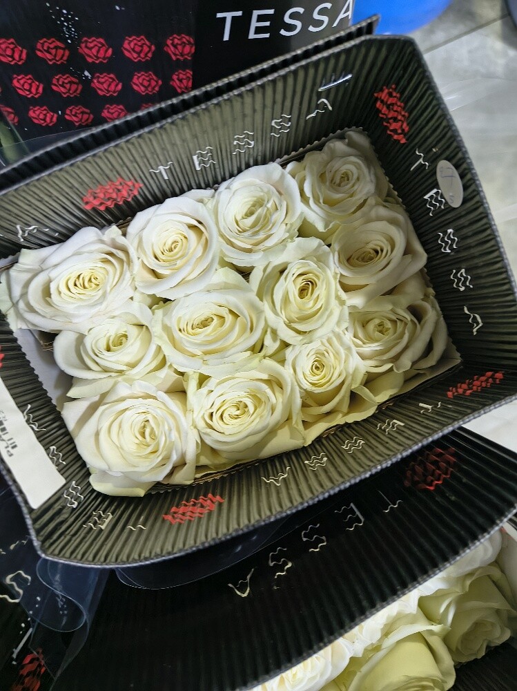 Flowers - 28