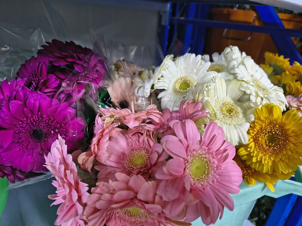 Flowers - 3
