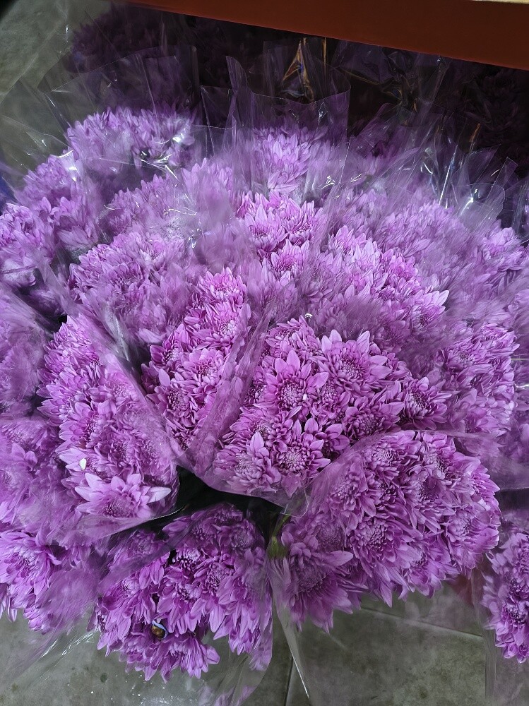 Flowers - 20