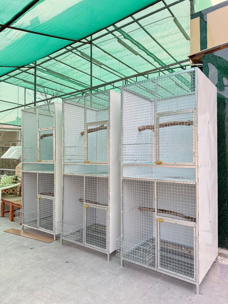 Macaw Cage - 1
