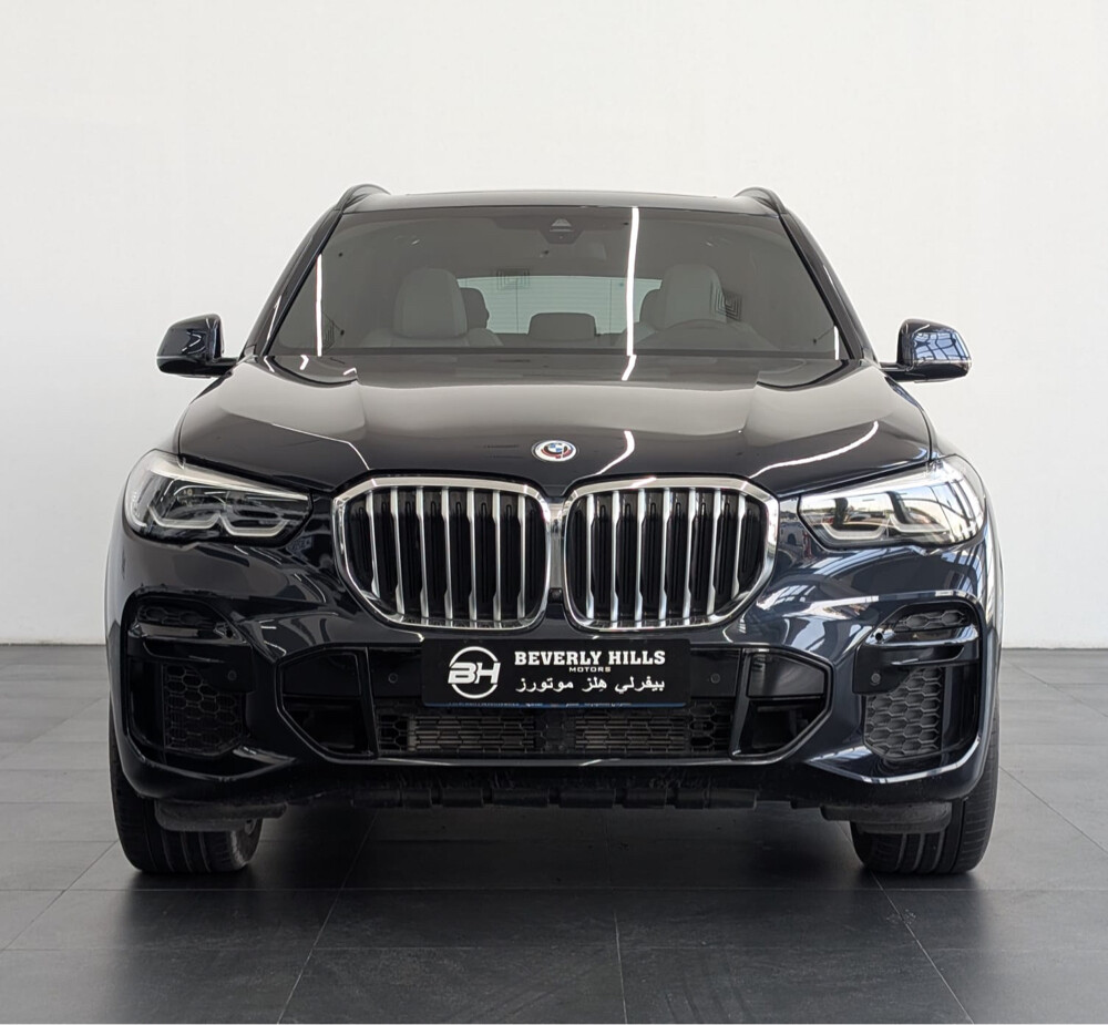 2023 BMW X5 xDrive40i-Original pain - 2