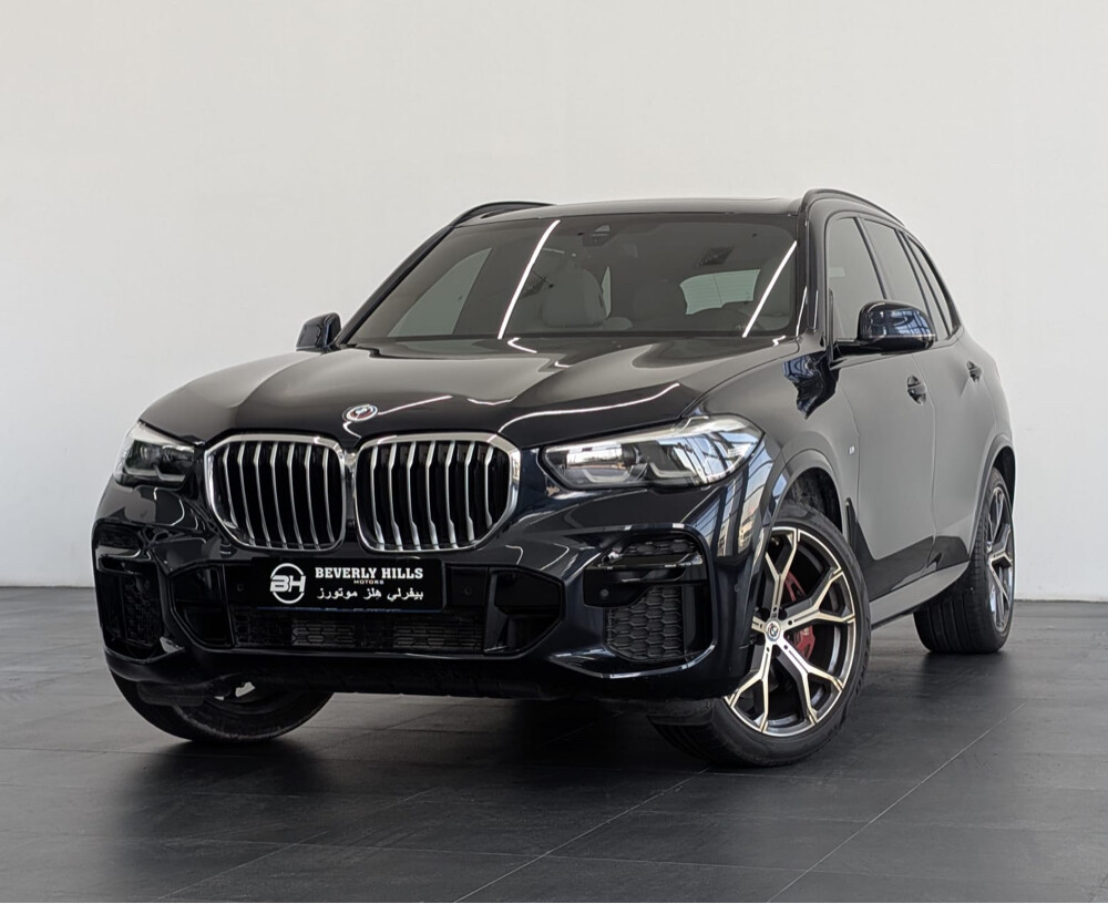 2023 BMW X5 xDrive40i-Original pain - 1