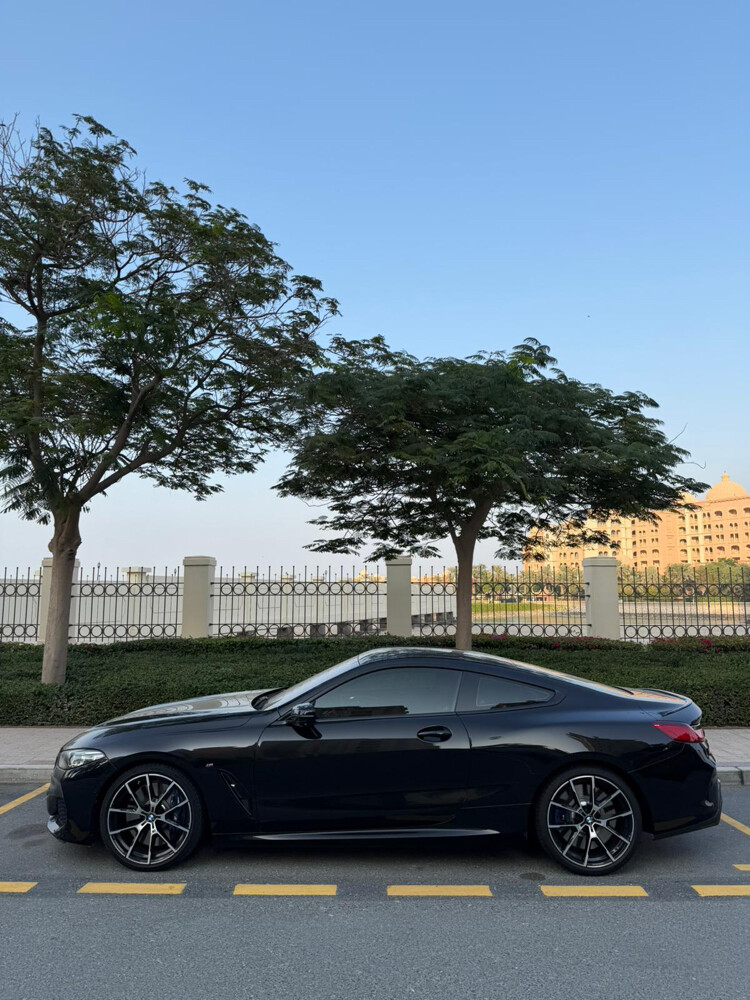 BMW 850 2019 - 6
