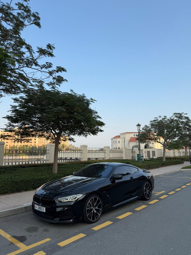 BMW 850 2019 - 9