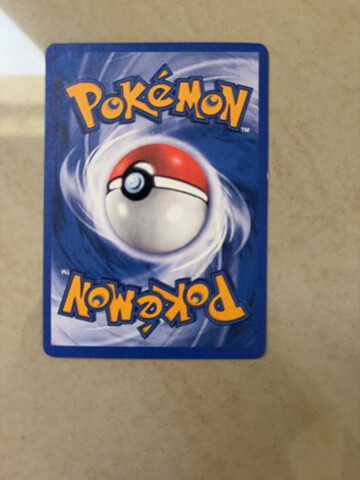 Raichu V - 2