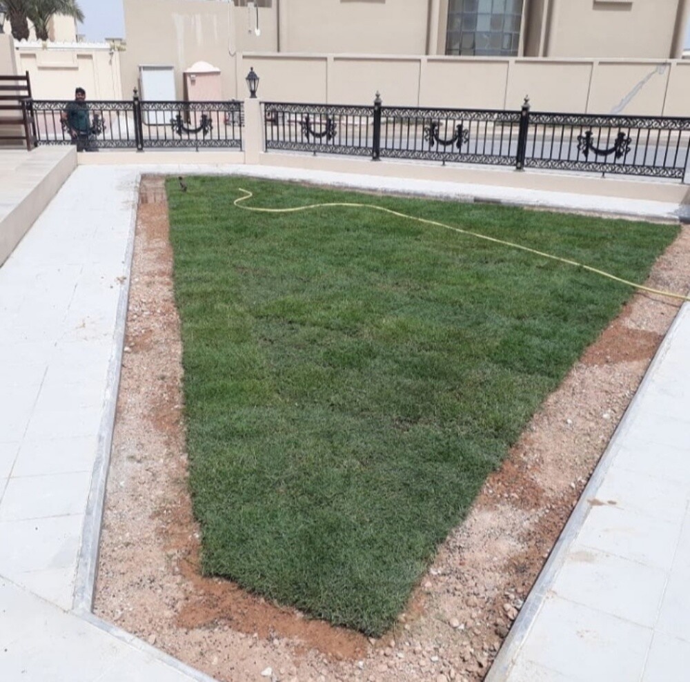 مزارع حدائق منزليه - 2