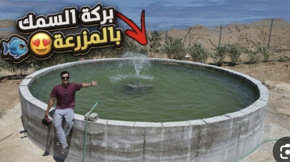 أعمال برك السمك - 3