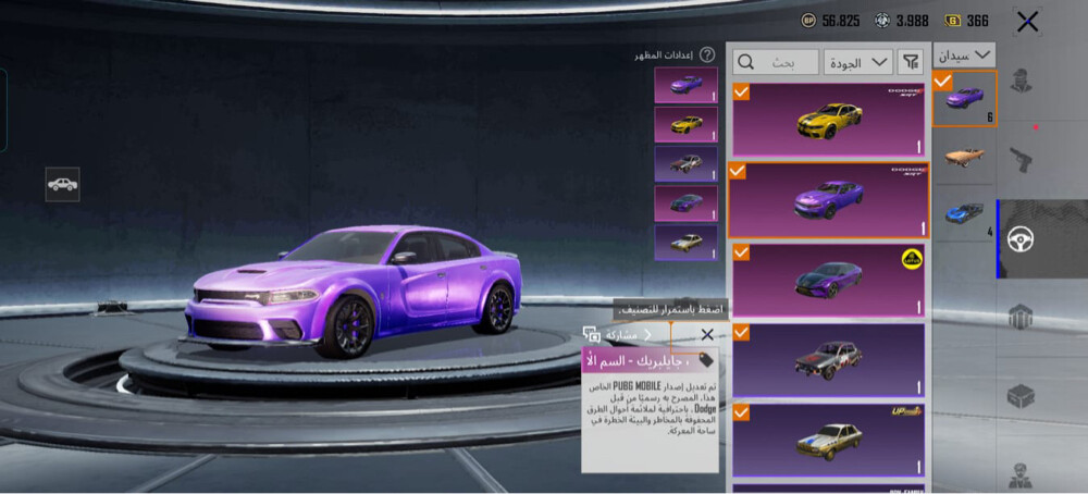 محمد  - 8