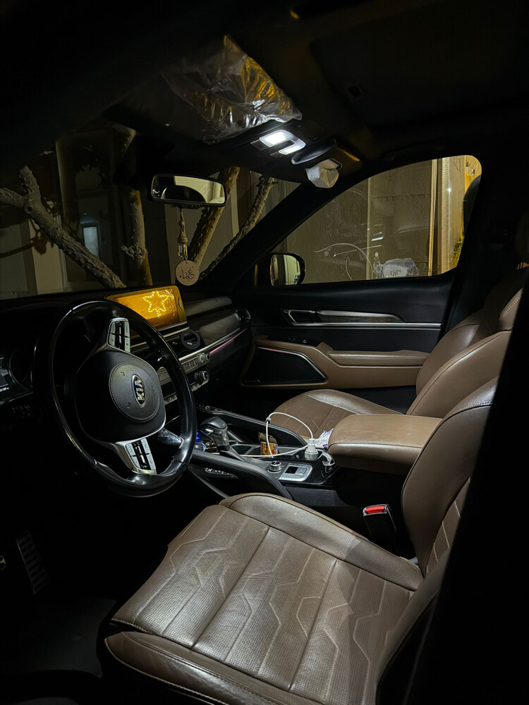 Kia telluride - 6