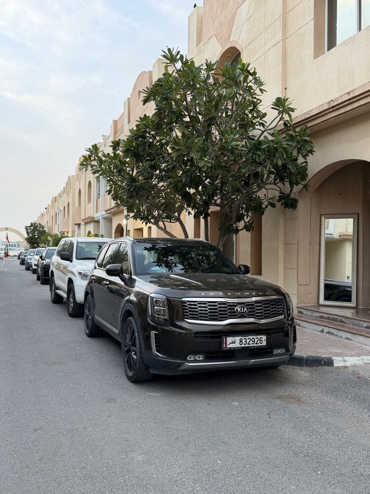 Kia telluride - 4