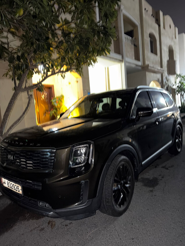 Kia telluride - 8