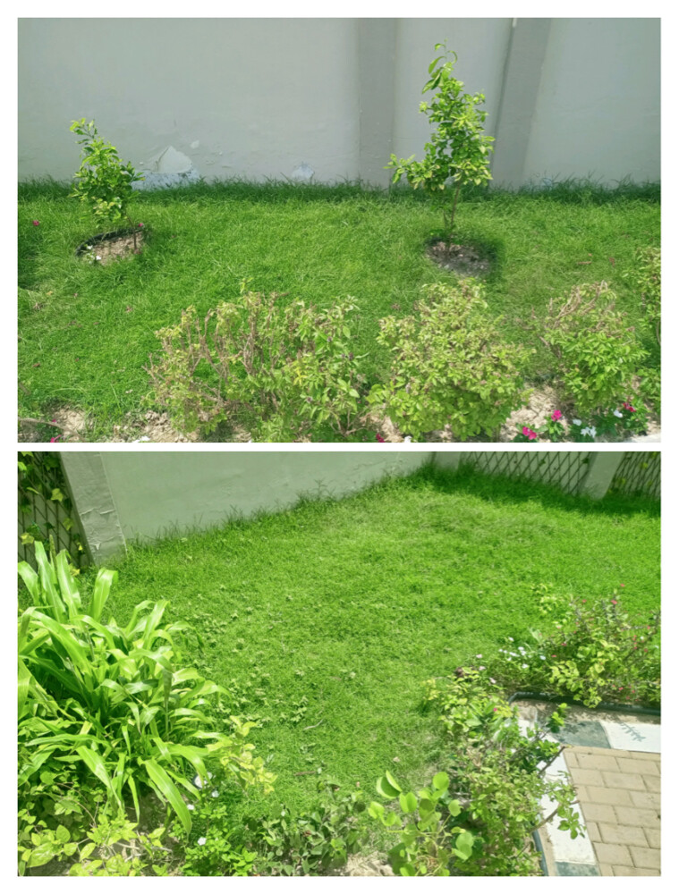 Gardening Services  - 21
