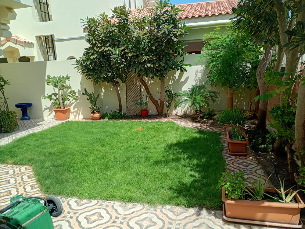 Gardening Services  - 18