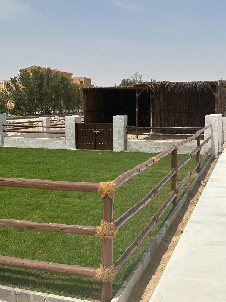 زرع سمسمه 105 الف متر للبيع - 29