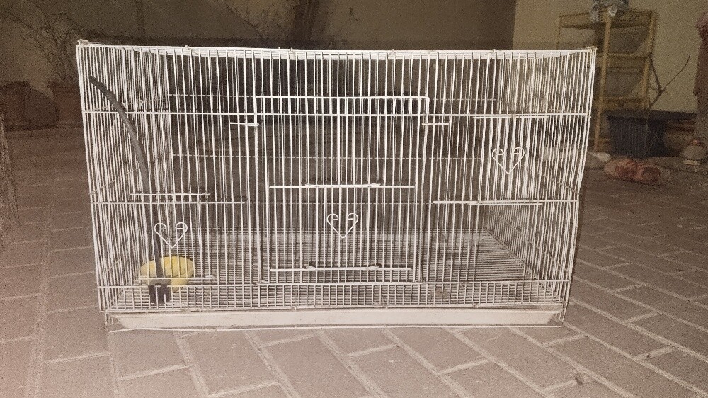 كفص - 1