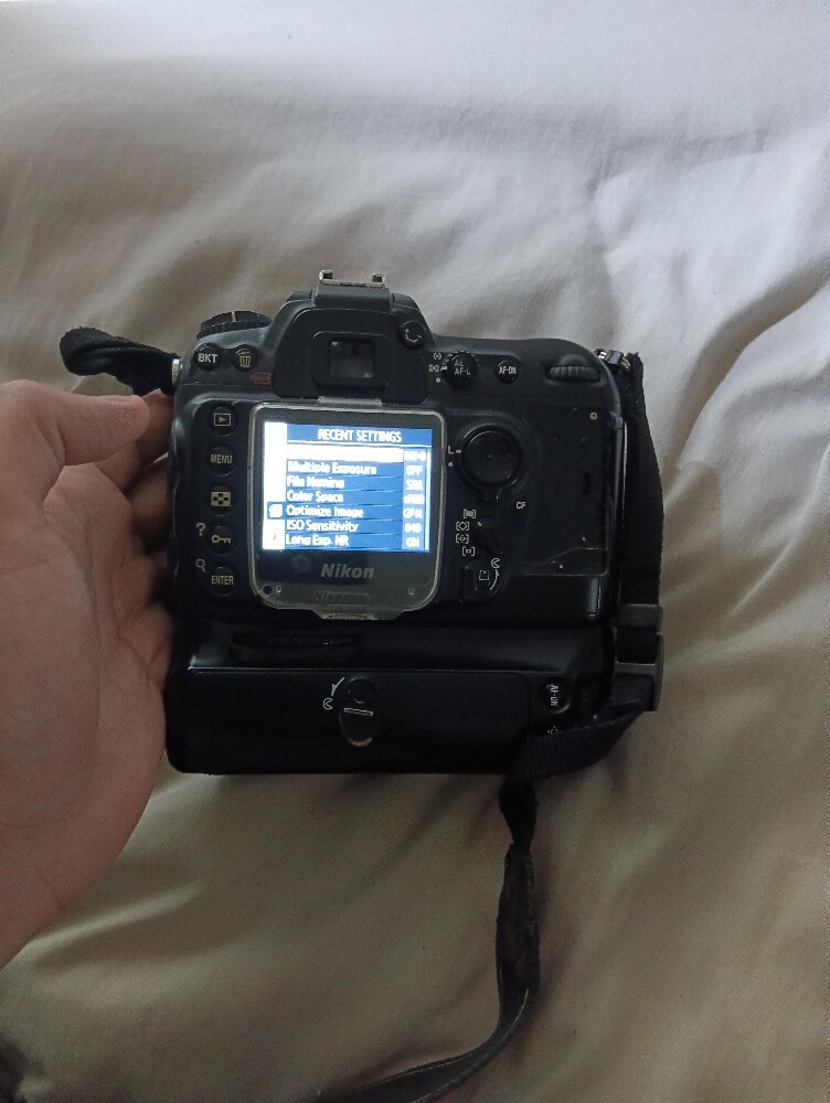 Nikon D1 - 1
