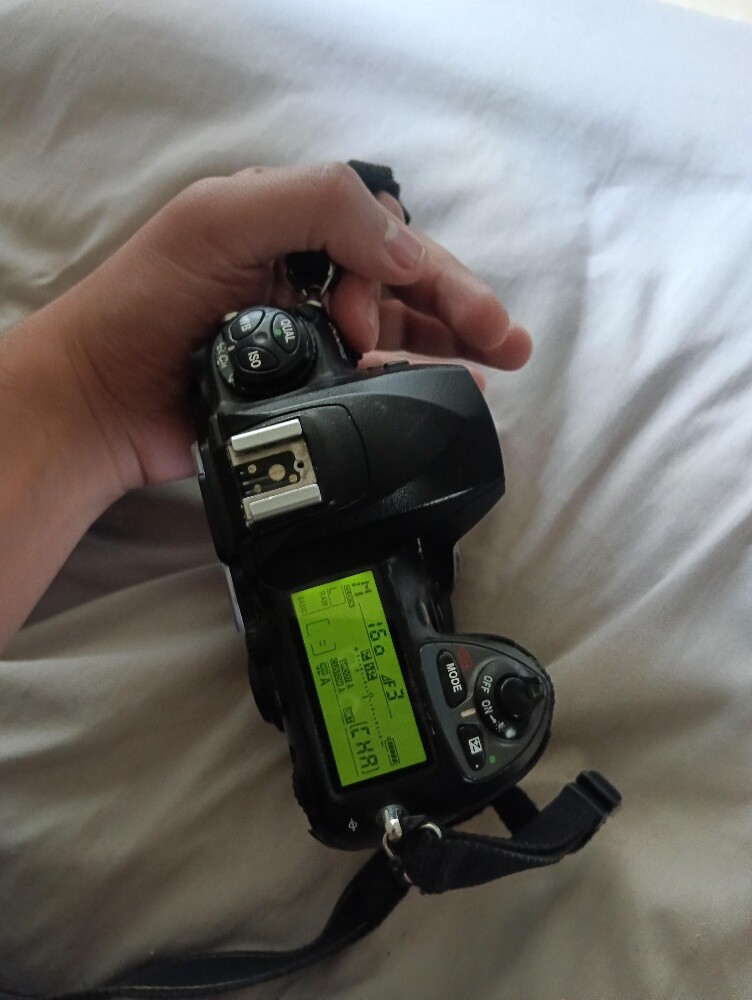 Nikon D1 - 12