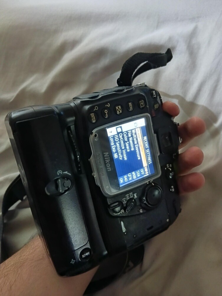 Nikon D1 - 3