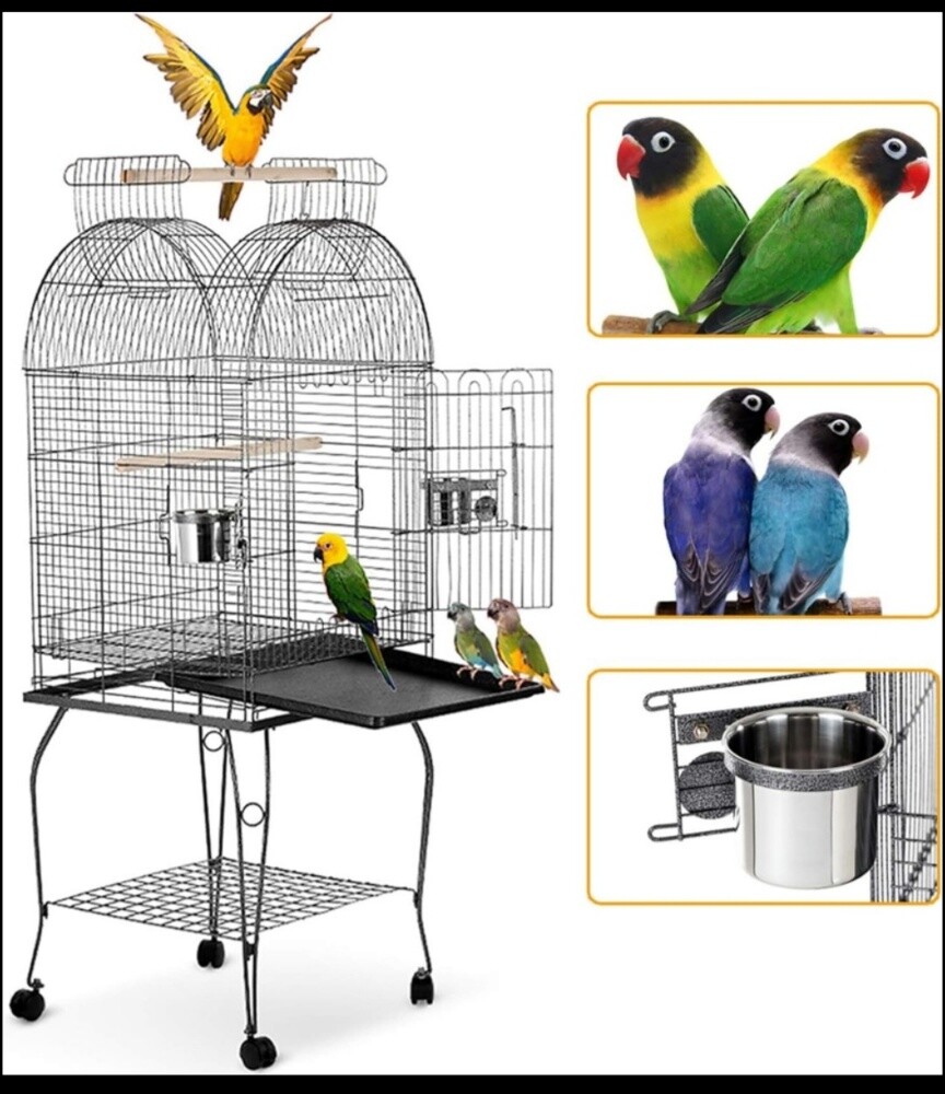 big cage - 2