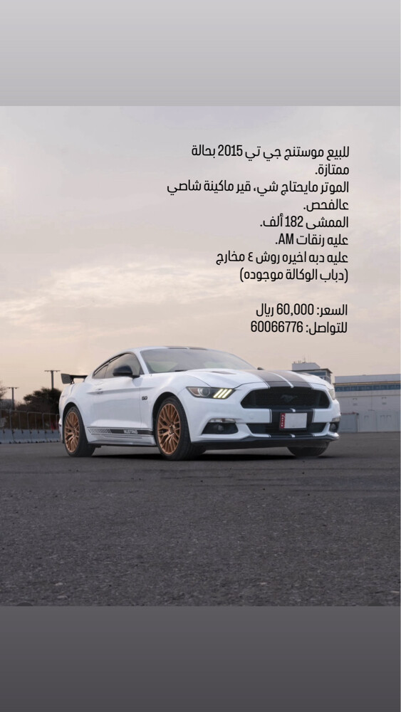 موستنج جي تي ٢٠١٥ - 1