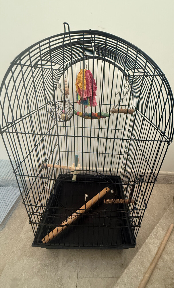 bird cage  - 1