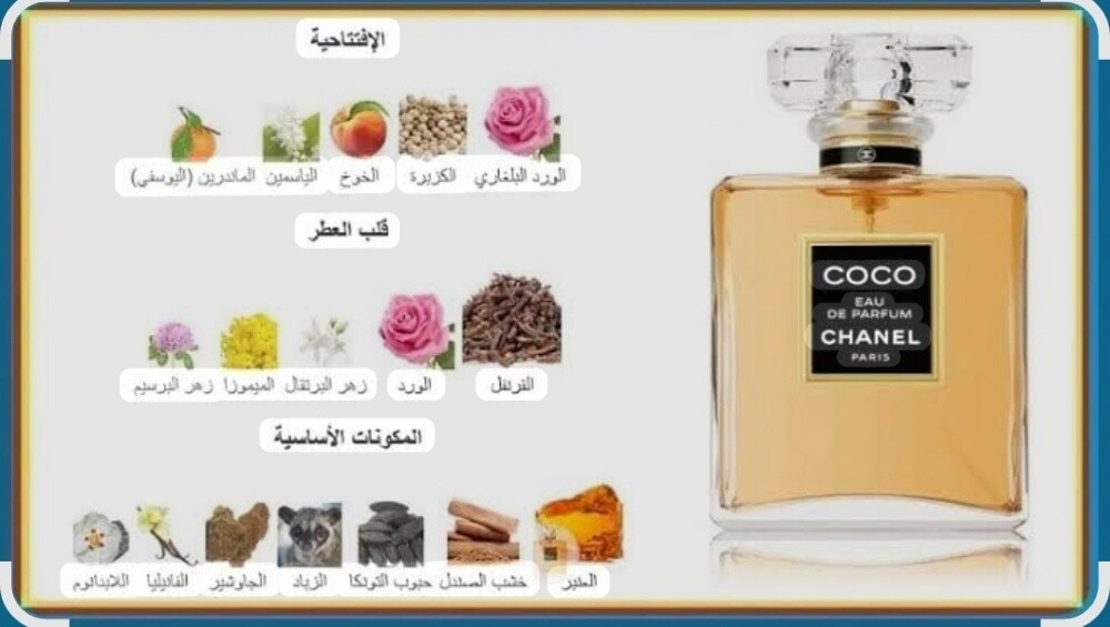 عطور مستوحاة من ماركات عالمية - 4