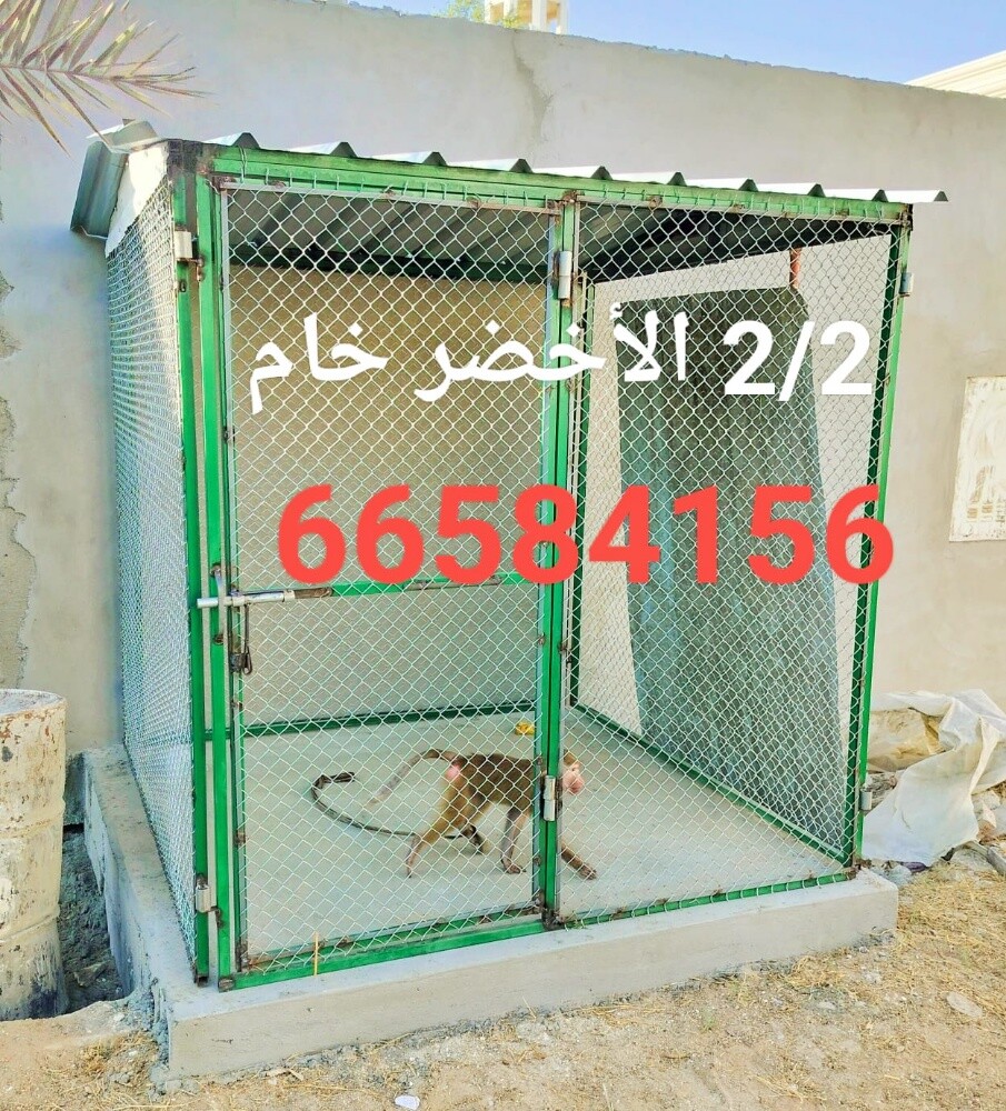 2/2=قفص جاهز - 3