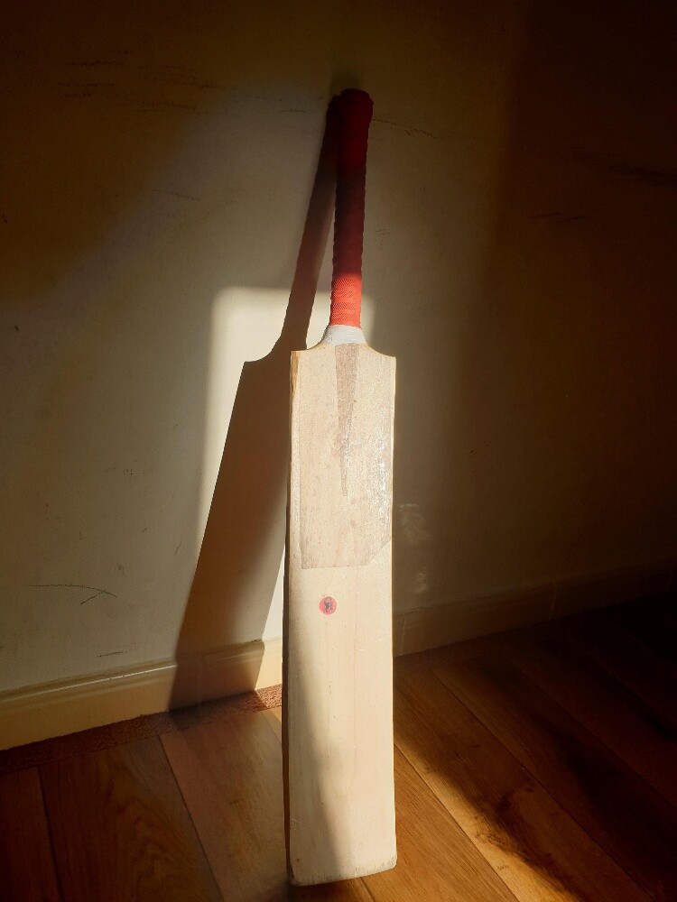 CA cricket bat - 2