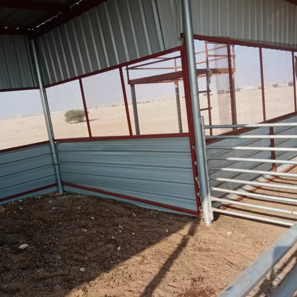 mojalla - 7
