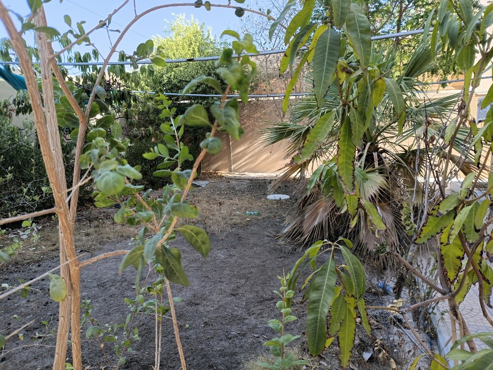 F RENT VILLA HAZM AL MARKHYIAH - 2