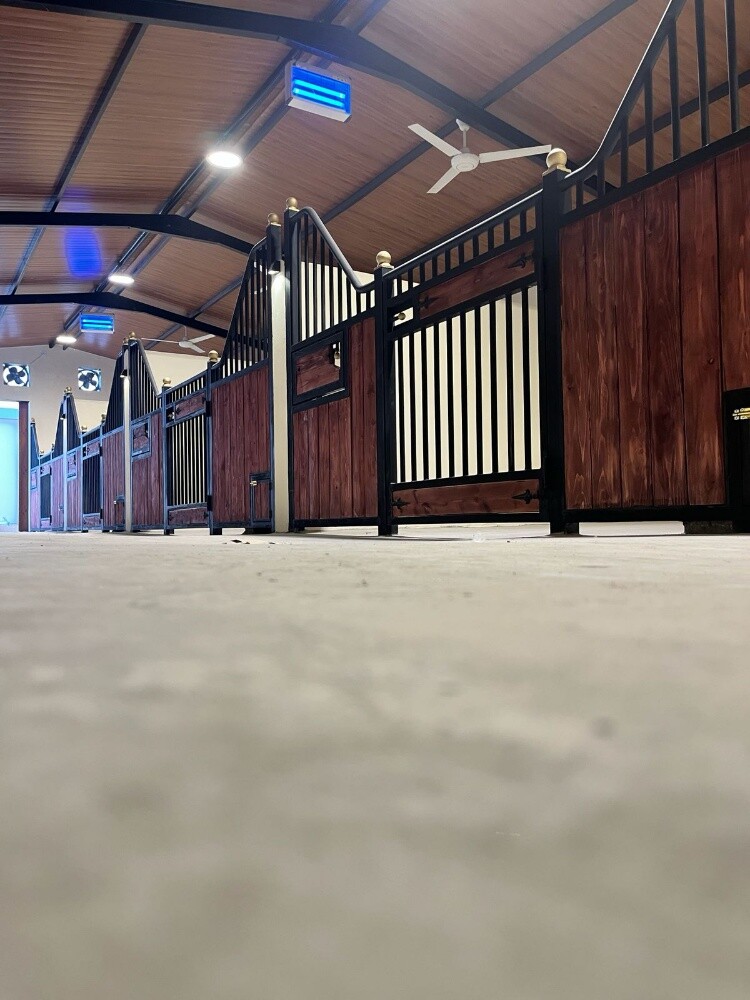 Horse stables lovers club - 1