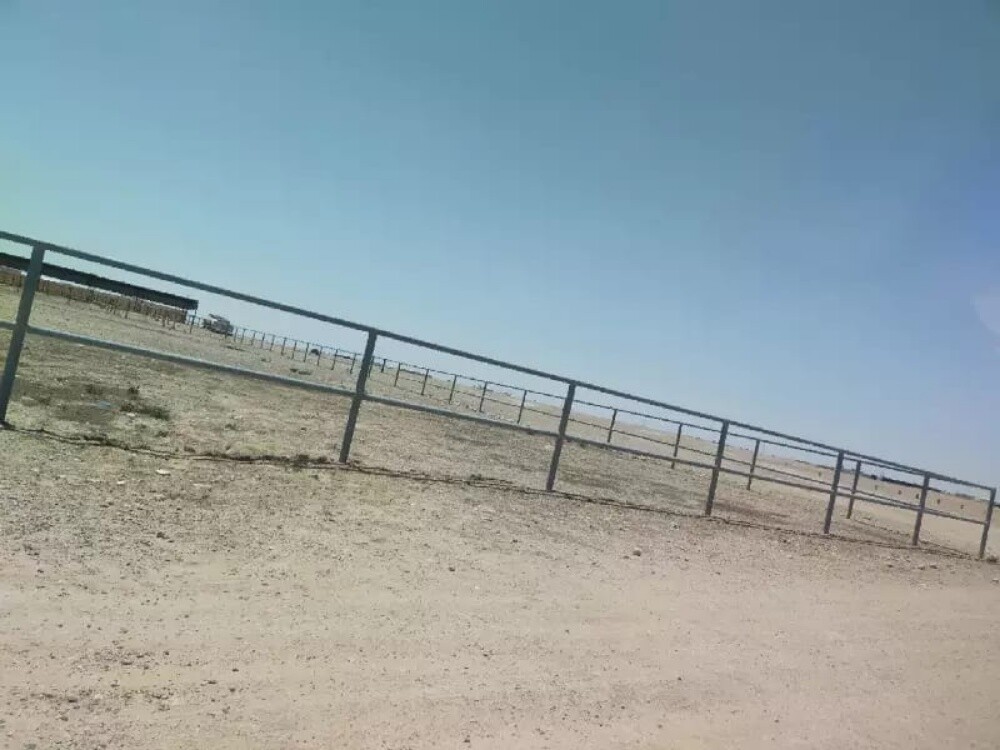 موجالا - 7