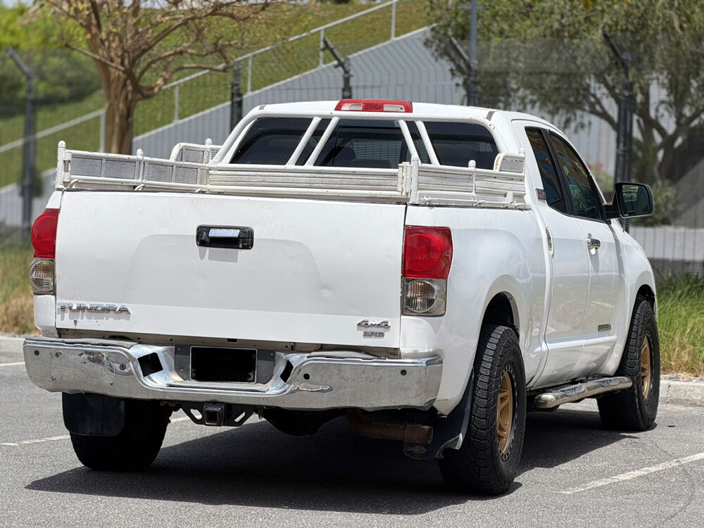 تندرا 2013 - 6