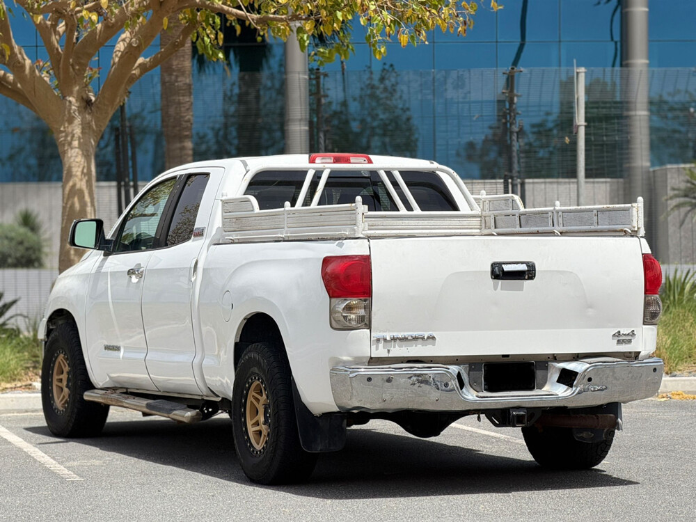 تندرا 2013 - 8