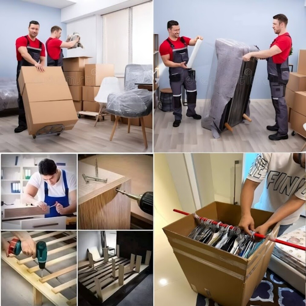خدمات نقل المنازل والأثاث - 12