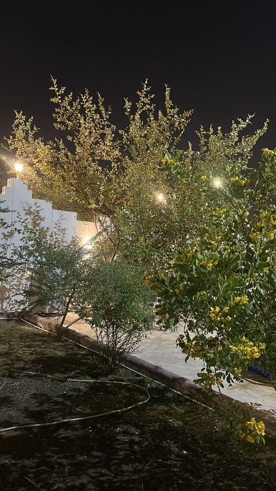 تقطيع الأشجار ونقل النخيل وزراعته - 1