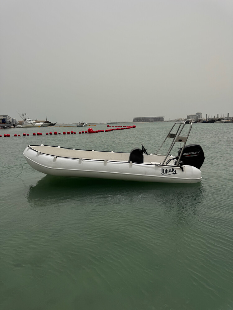 whaly 435 with 2021 Mercury 30HP - 7